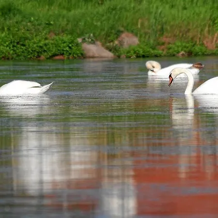兰德盖瑟夫维芬尔德森酒店 酒店